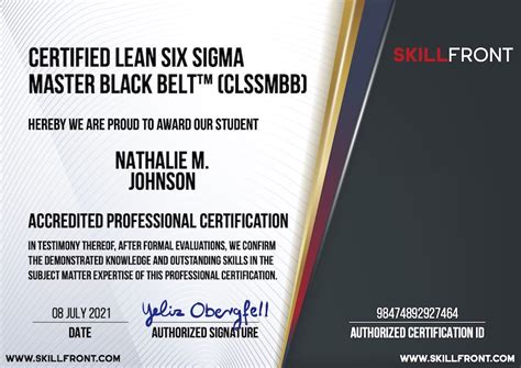 Master Black Belt Certificate Ubicaciondepersonascdmxgobmx