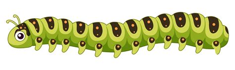 A Caterpillar On White Background 474897 Download Free Vectors