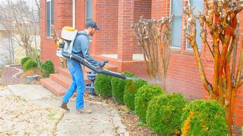 Pest control service in little rock, arkansas. Adams Pest Control of Little Rock - Mosquito Control ...