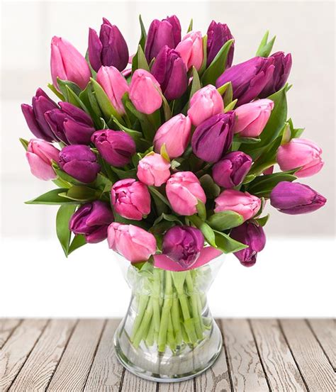 Pink And Purple Tulips Delivered On Mothers Day Uk Baby