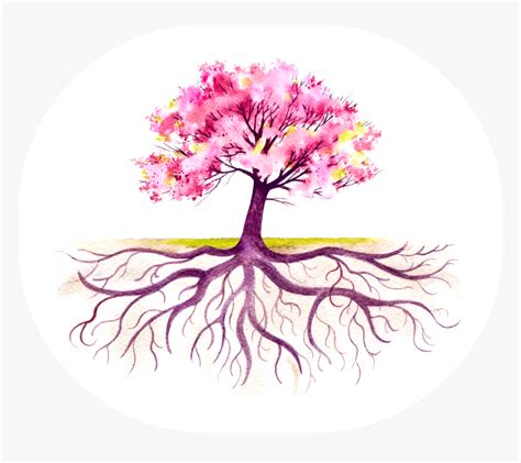 Colorful Tree With Roots Hd Png Download Kindpng