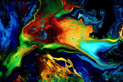 Abstract Art Modern Colorful Fluid Painting Bird Of Paradise By Kredart