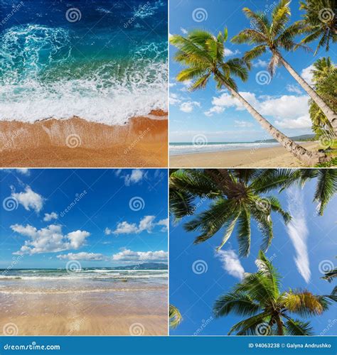 Tropical Beach Collage Stock Photo Image Of Lanka Ocean 94063238