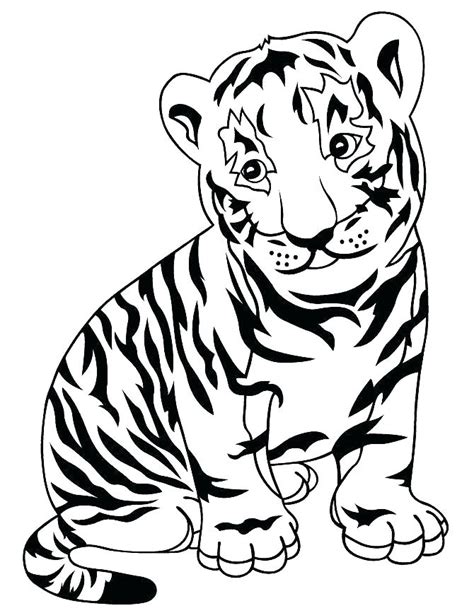 Baby White Tiger Coloring Pages At GetColorings Com Free Printable