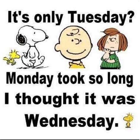 Its Only Tuesday Snoopy Funny Snoopy Quotes Tuesday Humor