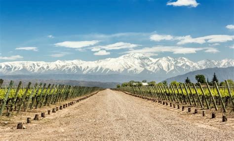 Mendoza A Maior Região Vinícola Da Argentina