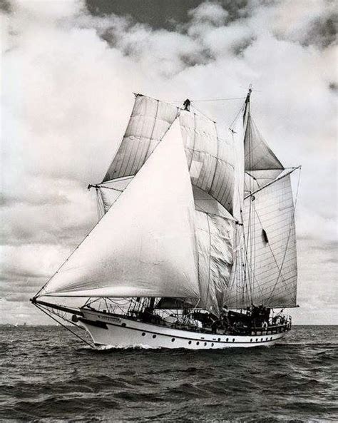 Old Sailing Ships Tall Ships Pinterest