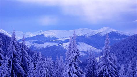 Blue Winter Mountains And Forest Hd Desktop Wallpaper Widescreen