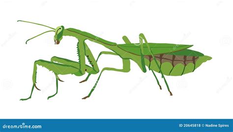 Praying Mantis Bug Insect Pixel Art Game Icon Vector Illustration