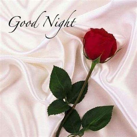 Pin By Rajesh Joshi On Good Night Good Night Flowers Romantic Good