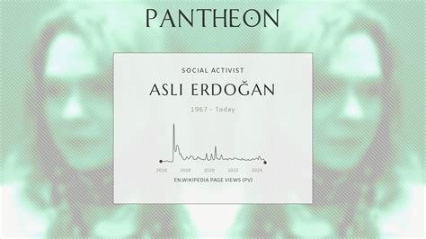 aslı erdoğan biography turkish author and human rights activist pantheon