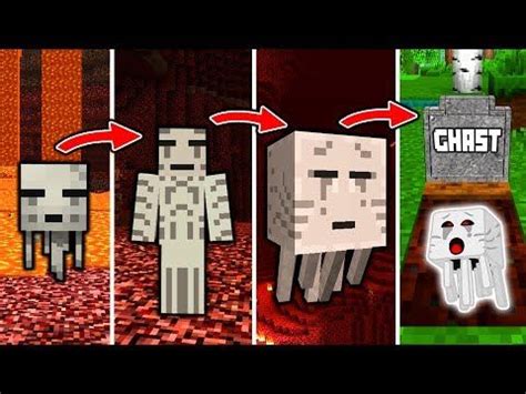 Check spelling or type a new query. GHAST LEBENSZYKLUS in Minecraft - Vom GEIST zum HELD ...