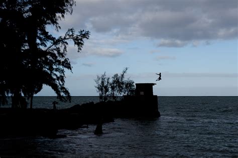 Hello Hilo. Things to do in Hilo, Hawaii. • Choosing Figs