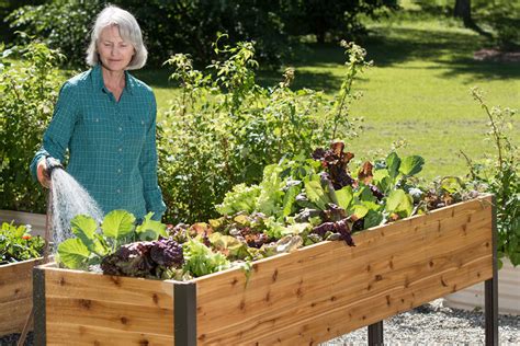 Stand Up Vegetable Gardens For Senior Citizens Anitas
