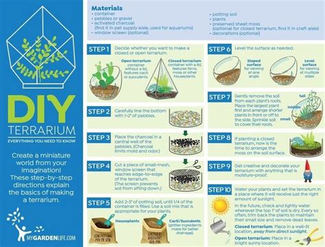 Step By Step Terrarium Directions 1000 How To Make Terrariums Diy