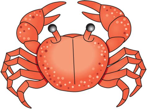 Download High Quality Crab Clipart Realistic Transparent Png Images