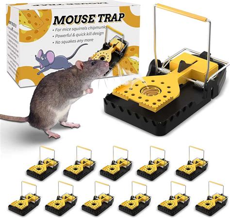 Effective Rat Traps How To Safely And Efficiently Get Rid Of Rats
