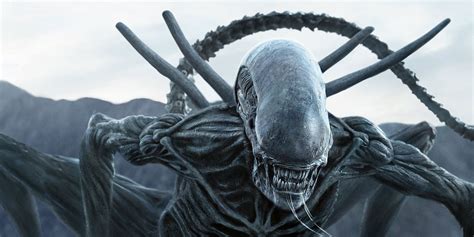 Celebrate Alien Day With An All New Virtual Reality Experience