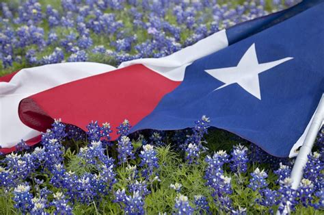 Celebrate Texas Independence Day At The Site Where Texas Began