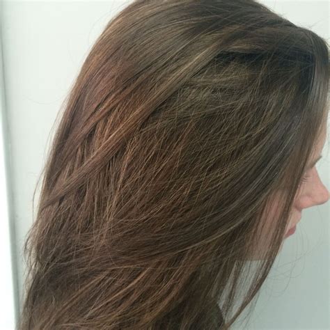 View Partial Highlights On Brown Hair Background Goodprintablecouponsforenfamil