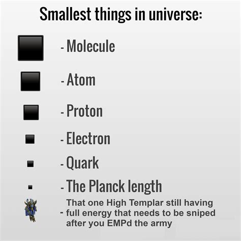 The Smallest Things In The Universe Rstarcraft