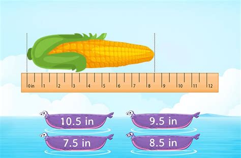 How To Measure Inches Vlrengbr