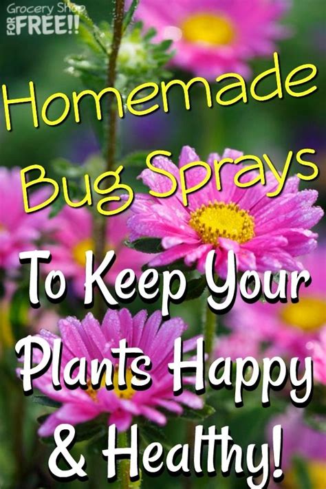 Homemade Bug Sprays To Keep Your Plants Happy And Healthy