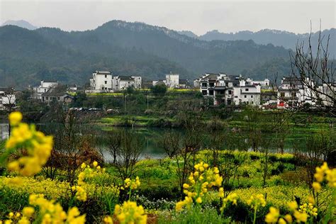 Flowery Spring Comes To Wuyuan Jiangxi Province 3 Cn