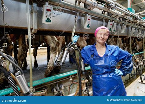 挤奶的系统农场牛奶场女工 库存图片 图片 包括有 农场 生产 贪婪 行业 人员 国内 农舍 29003809