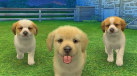 Nintendogs Cats 3ds 30 Minutes Of Gameplay No Commentary Youtube