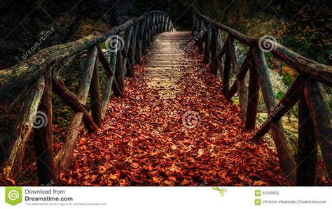 Wooden Bridge Covered With Autumn Leaves Stock Photo Image Of Bridge