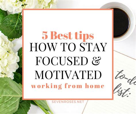 5 Tips How To Stay Focused And Motivated Seven Roses