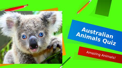 Science Living Things And Their Habitats Koala Quiz Teaching Resources