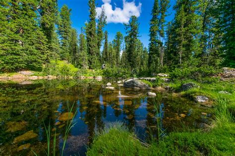 Natural Landscape Small River Mountain Stream Flowing Through The