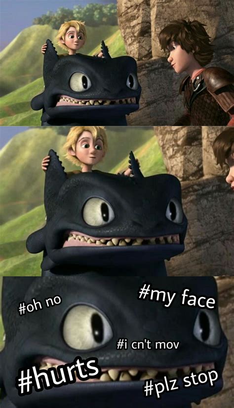 Why Was Toothless Making That Face Tho How Train Your Dragon How To