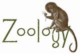 Online Degree Zoology