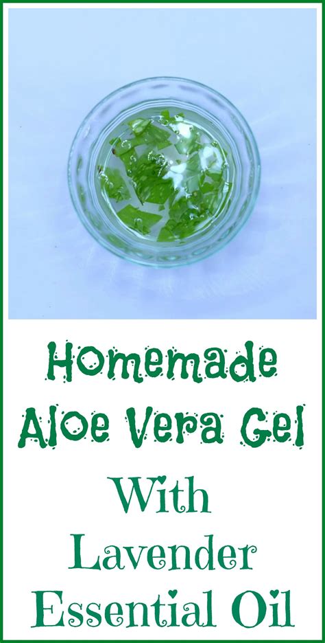 How To Make Your Own Aloe Vera Gel With Lavender Essential Oil Aloe Vera Diy Aloe Vera For