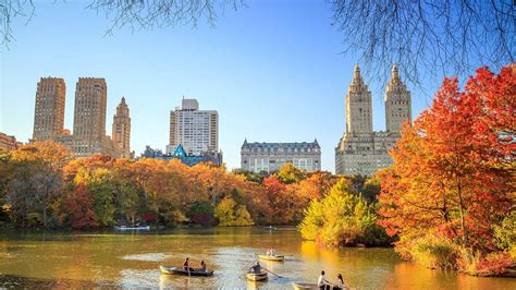 Where To See Fall Foliage In Nyc This Autumn Autumn In New York Cool