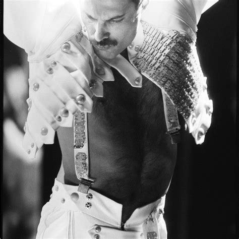 Freddie Mercury - Zdjęcia: 1980-86 | Freddie mercury, Queen freddie mercury, Mercury