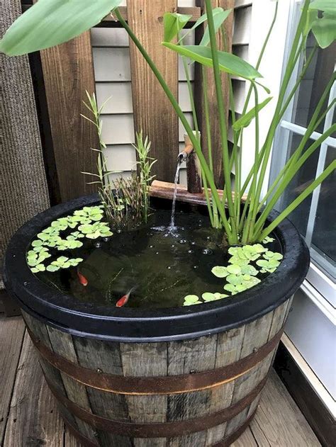 How To Make An Indoor Water Garden