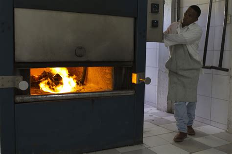 Cremation for pets love our pets as much as you, and our dedicated team will treat your cat or dog with dignity and love. In Caracas - The business of death