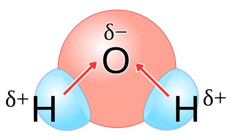 What Is A Polar Covalent Bond Chemtalk