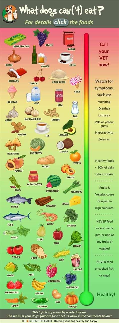 Mix some into their regular dog food to liven up their meal. Info Graphic of 55 Human Foods Dogs can and can't eat. Vet ...