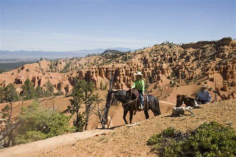 Horseback Riding Utah Horseback Riding Bryce Canyon