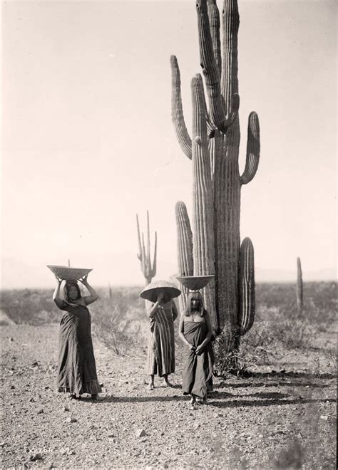 Maricopa Women Native Americans Fruit Gathering Saguaro Arizona
