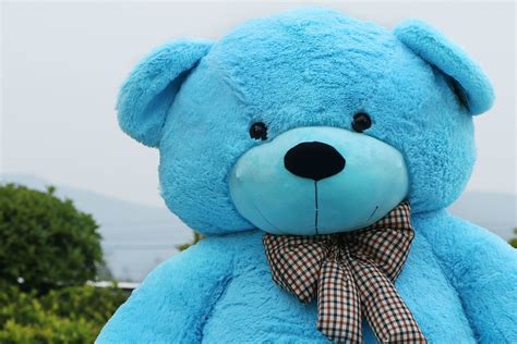 78 Giant Blue Teddy Bear 65 Ft Full Stuffed Toy