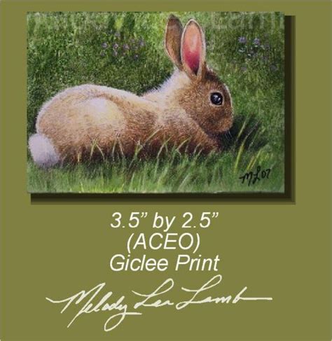 Cottontail Bunny Rabbit Art By Melody Lea Lamb Aceo Print Etsy