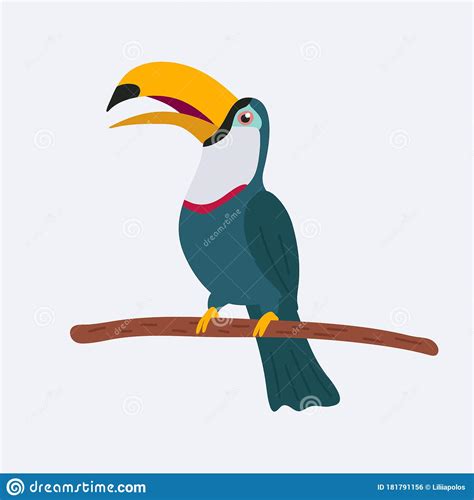 Colorful Illustration Of A Cute Toucan Sitting On Branch Vector Stock