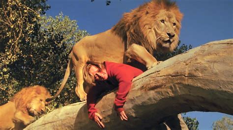 Before Beast Roar Pitted Lions Against Humans Without Cgi In 1981