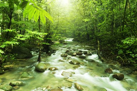 Green Nature Eco Friendly Wallpapers To Get Inspiration